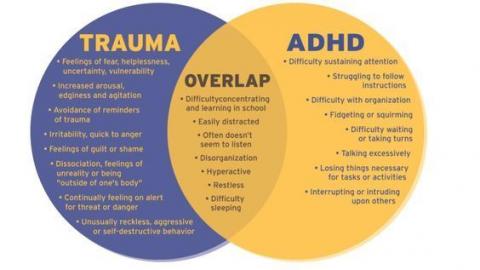 trauma adhd informed triggers therapy identifying bottom approach counseling worksheets teacher activities suspected never symptoms dear working self repair early